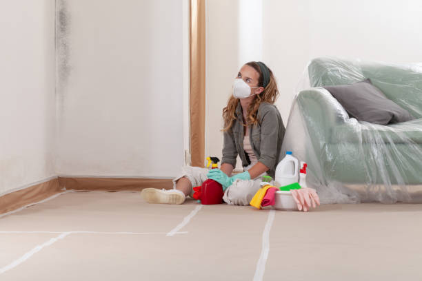 Reliable Attic Mold Remediation contractor in Frisco, TX by 24 Hour Mold Removal